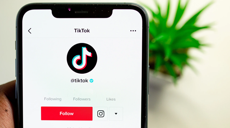 growing-your-tiktok-following-strategies-for-success